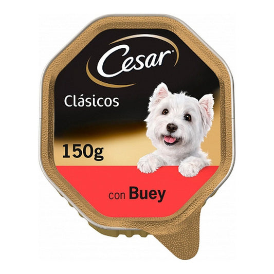Cesar Wet Dog Food – Premium Pate, 150g