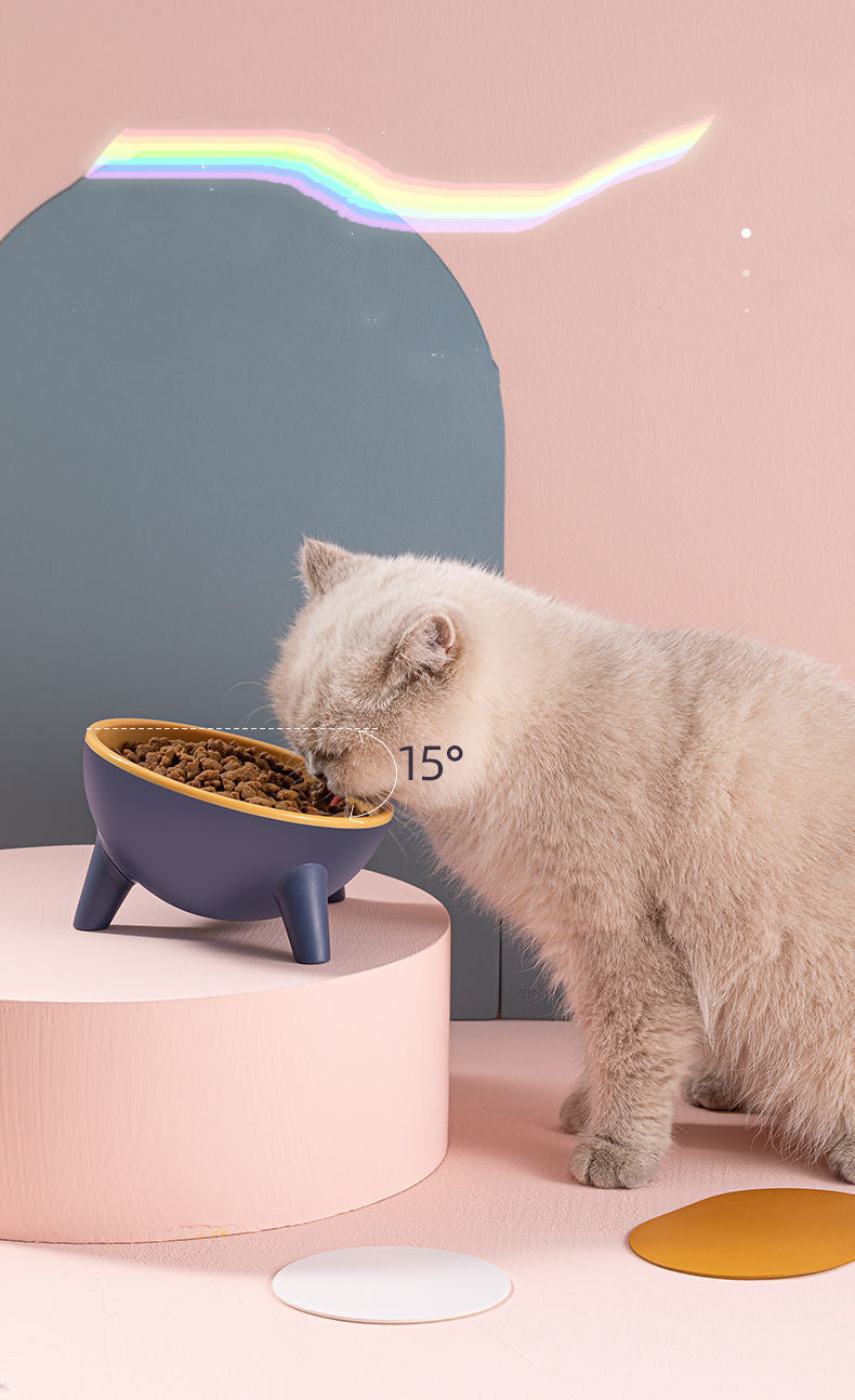 Elevated Pet Bowl with Stand – Dogs & Cats