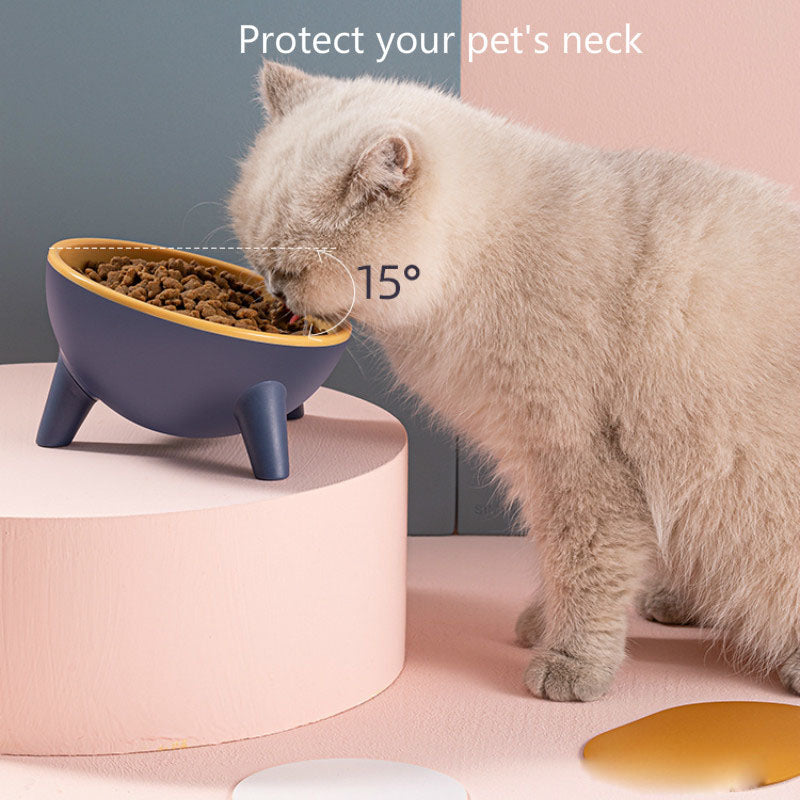 Elevated Pet Bowl with Stand – Dogs & Cats