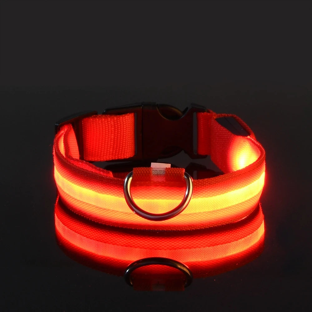 The Night Walk Set - LED Glowing Safety Collar & Leash for Dogs