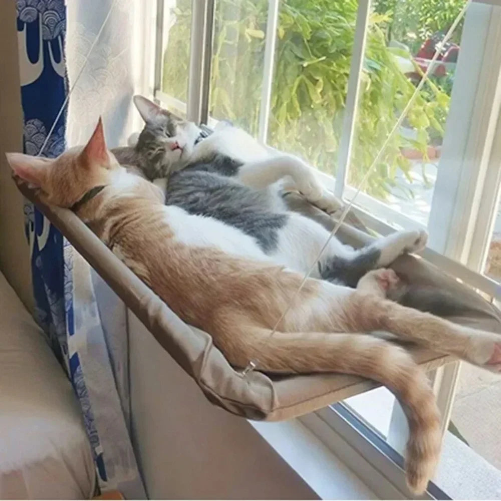The Sunny Perch - Window Hammock Bed for Cats