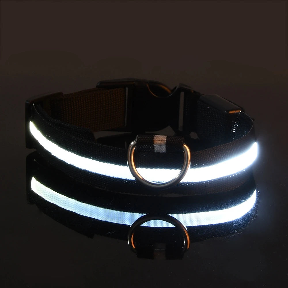 The Night Walk Set - LED Glowing Safety Collar & Leash for Dogs