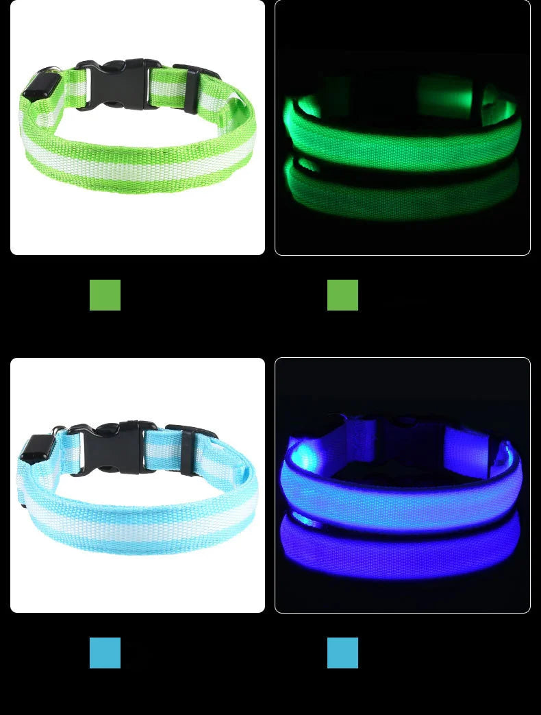 The Night Walk Set - LED Glowing Safety Collar & Leash for Dogs