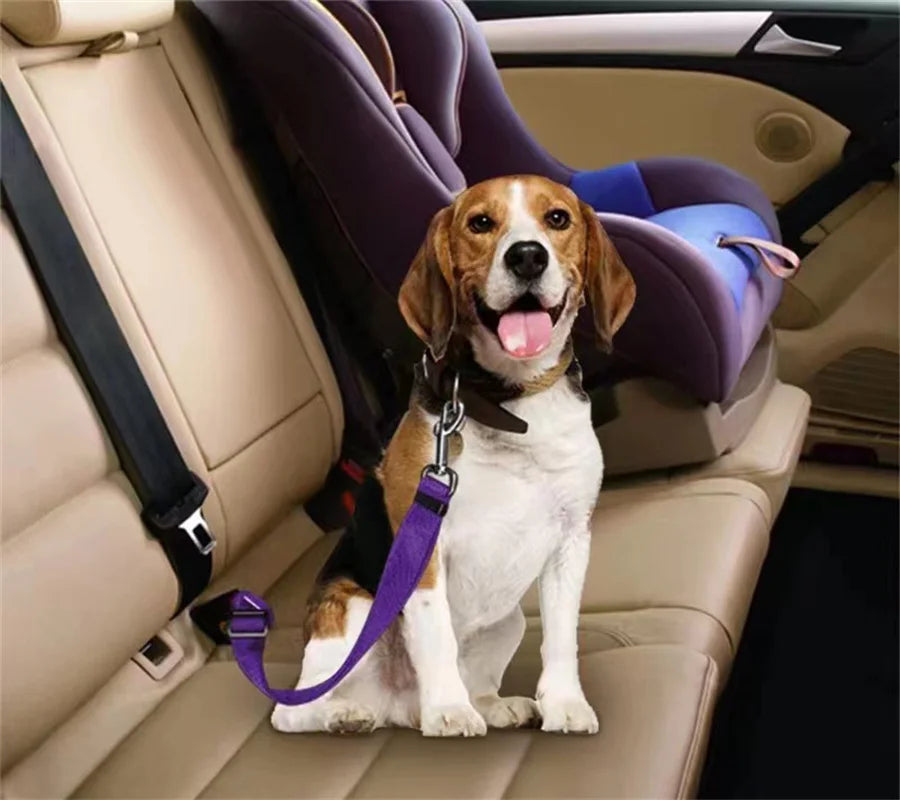The SafeRide Belt — Adjustable Car Safety Belt for Pets