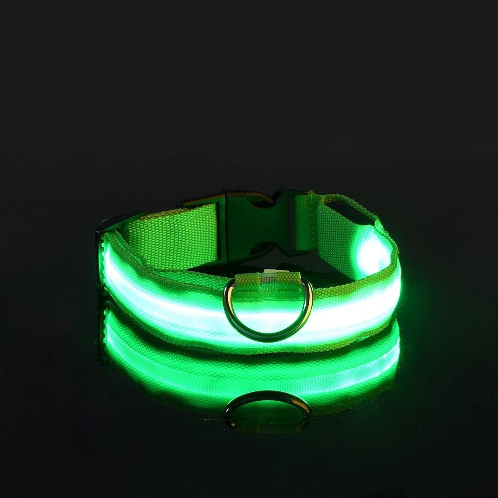 The Night Walk Set - LED Glowing Safety Collar & Leash for Dogs