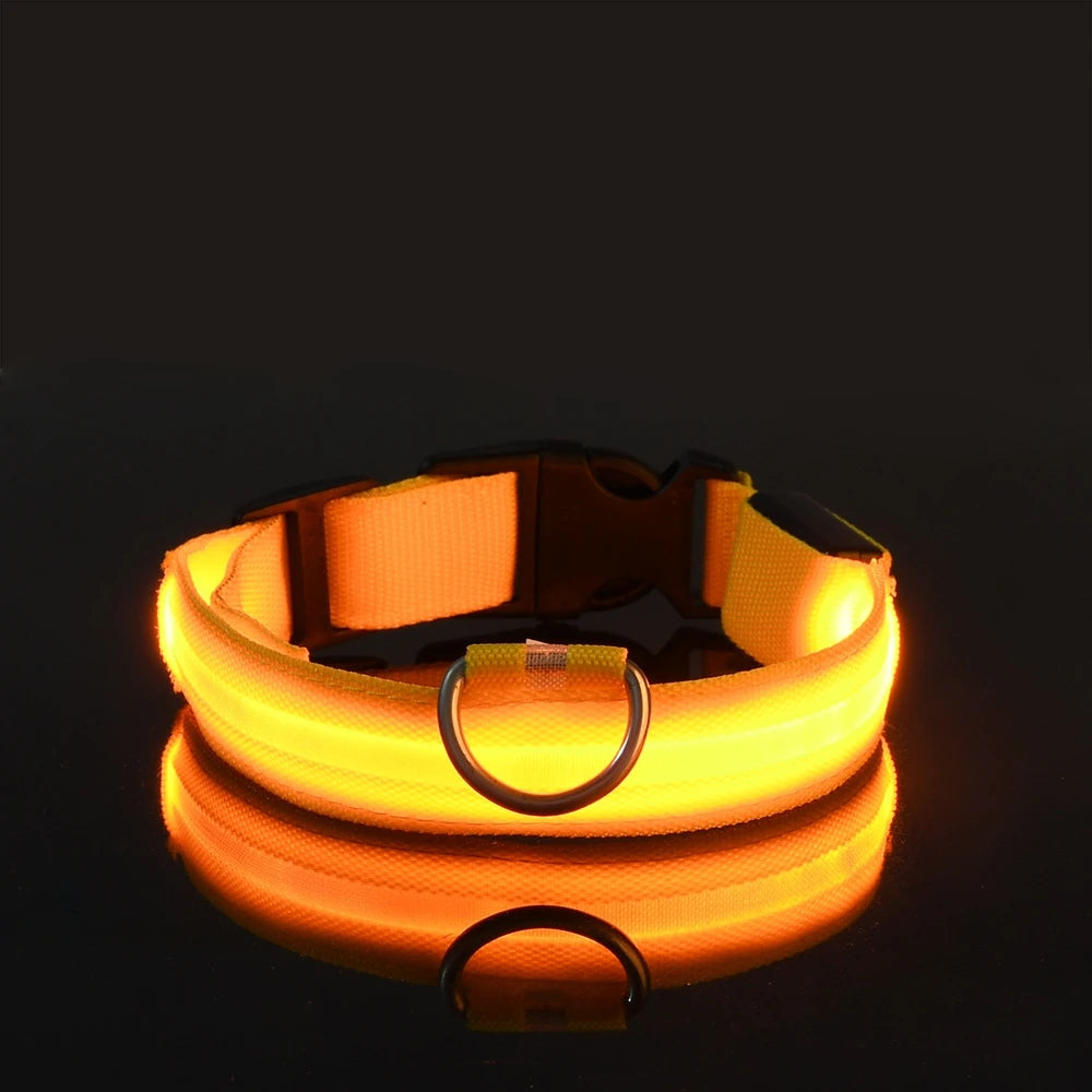 The Night Walk Set - LED Glowing Safety Collar & Leash for Dogs