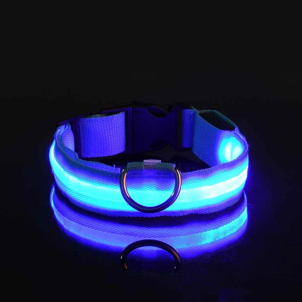 The Night Walk Set - LED Glowing Safety Collar & Leash for Dogs