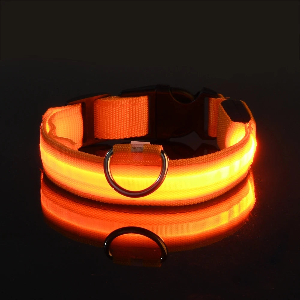 The Night Walk Set - LED Glowing Safety Collar & Leash for Dogs