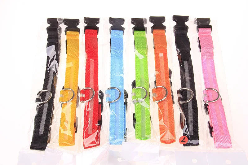 The Night Walk Set - LED Glowing Safety Collar & Leash for Dogs