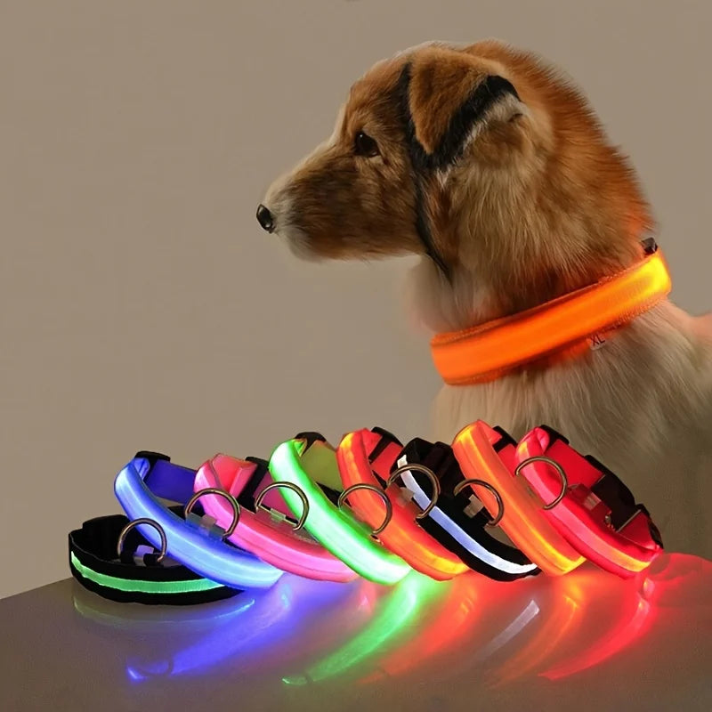 The Night Walk Set - LED Glowing Safety Collar & Leash for Dogs