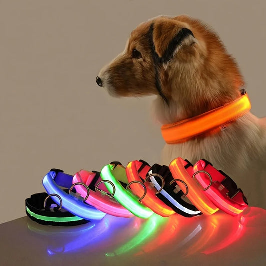 The Night Walk Set - LED Glowing Safety Collar & Leash for Dogs