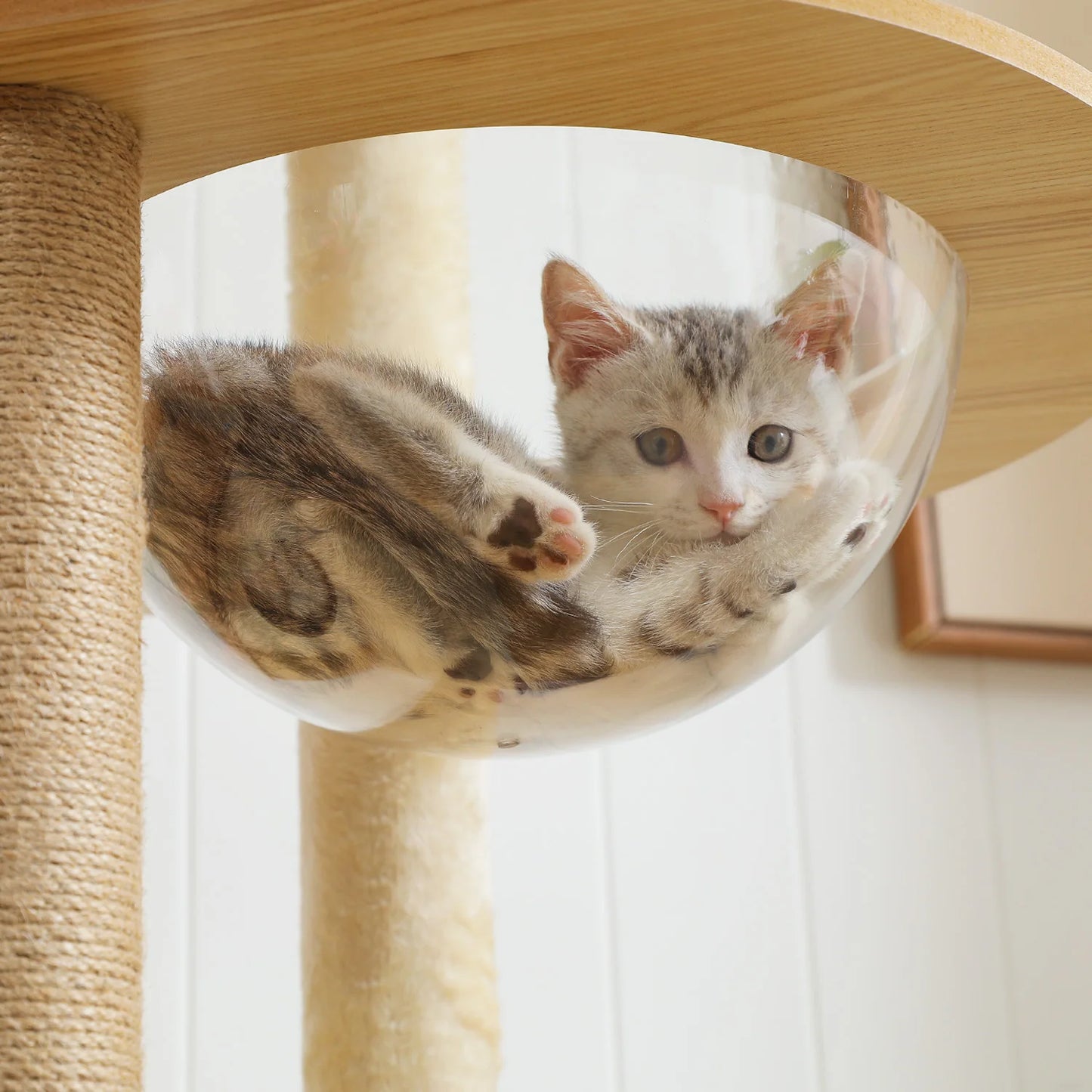 The Kingdom - Multi-Level Cat Tree Tower with Hammock, Condo & Scratching Posts
