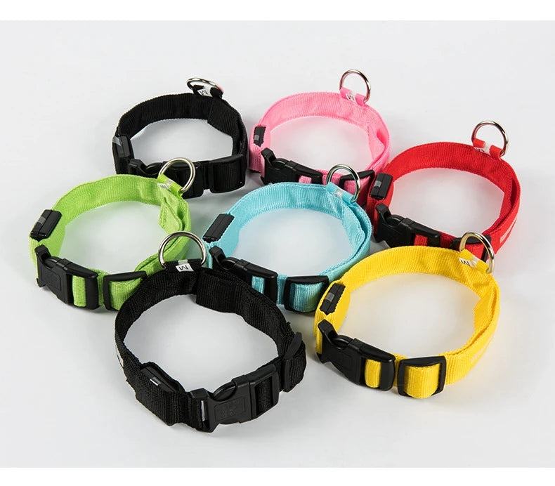 The Night Walk Set - LED Glowing Safety Collar & Leash for Dogs