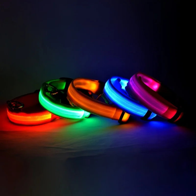 The Night Walk Set - LED Glowing Safety Collar & Leash for Dogs