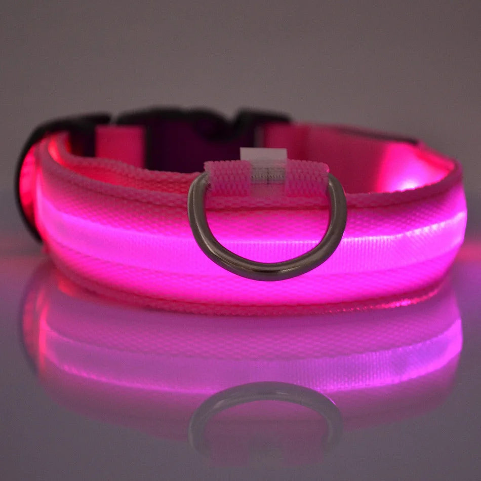 The Night Walk Set - LED Glowing Safety Collar & Leash for Dogs