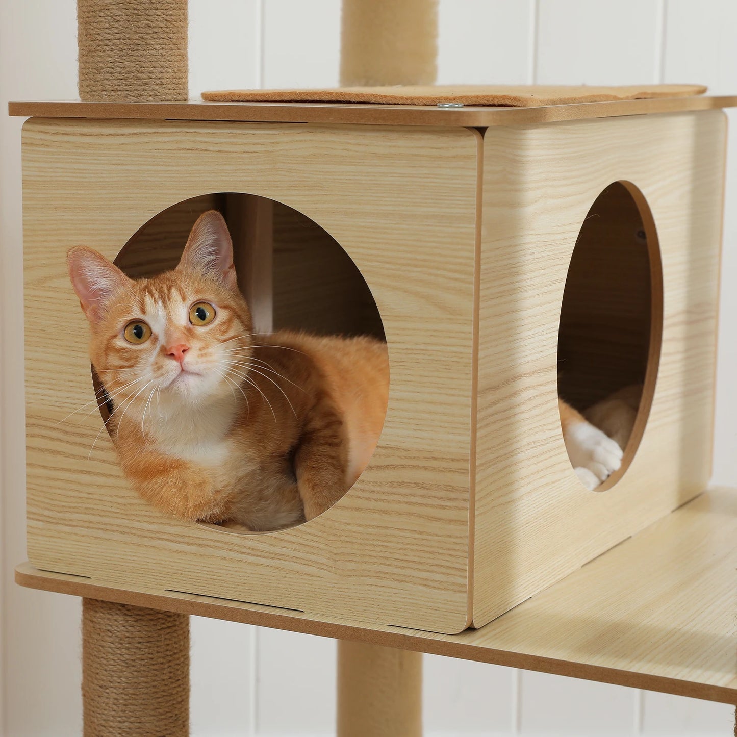 The Kingdom - Multi-Level Cat Tree Tower with Hammock, Condo & Scratching Posts