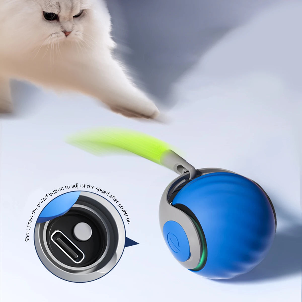The Night Walk Set — LED Safety Collar & Leash
