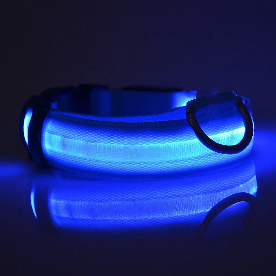 The Night Walk Set - LED Glowing Safety Collar & Leash for Dogs