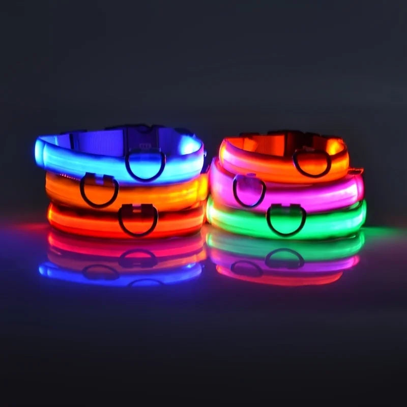 The Night Walk Set - LED Glowing Safety Collar & Leash for Dogs