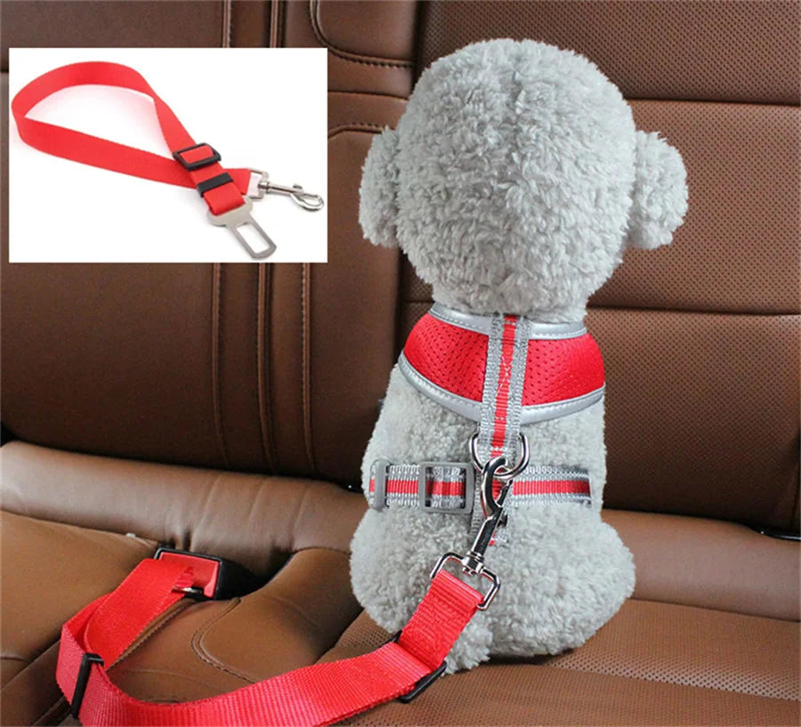 The SafeRide Belt — Adjustable Car Safety Belt for Pets