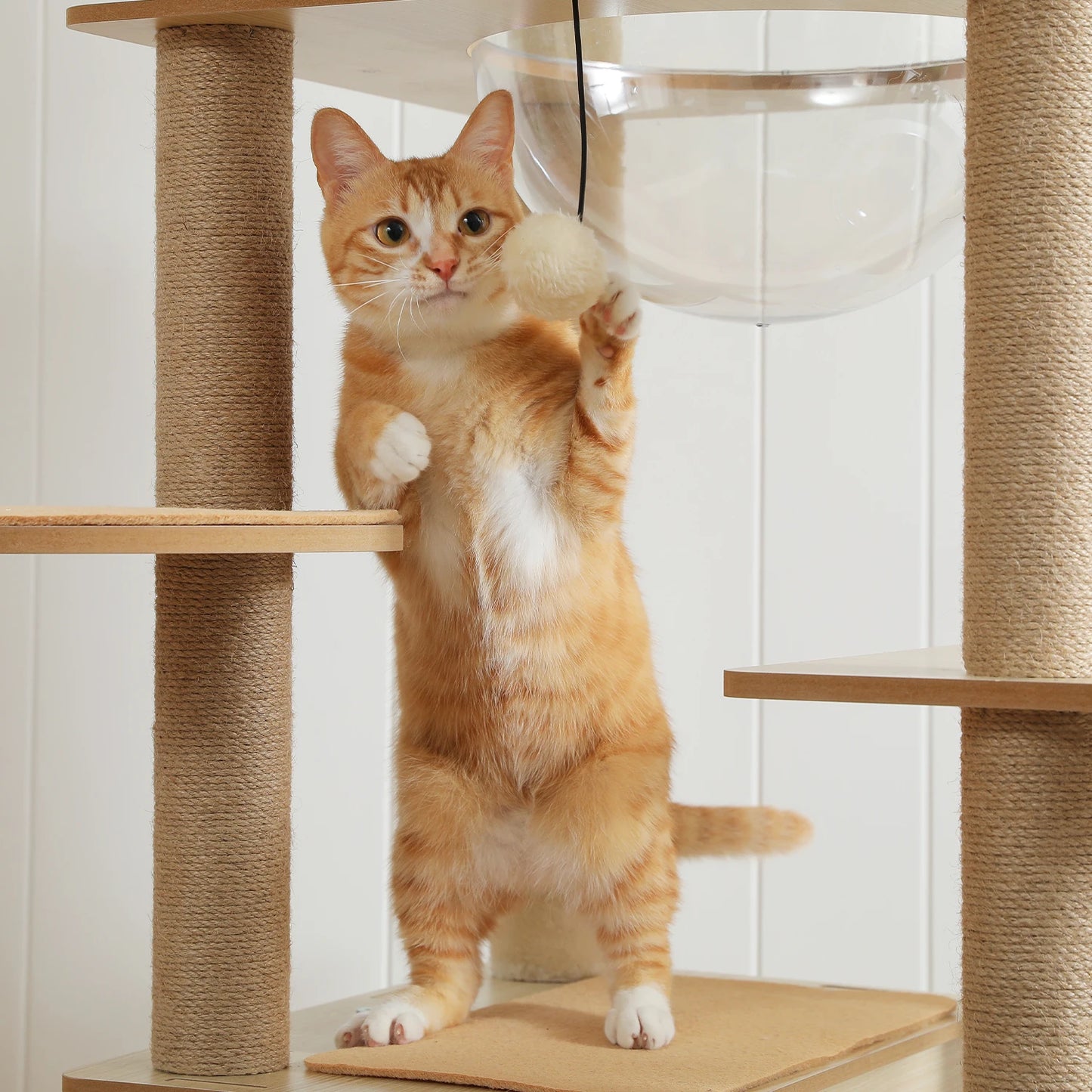 The Kingdom - Multi-Level Cat Tree Tower with Hammock, Condo & Scratching Posts