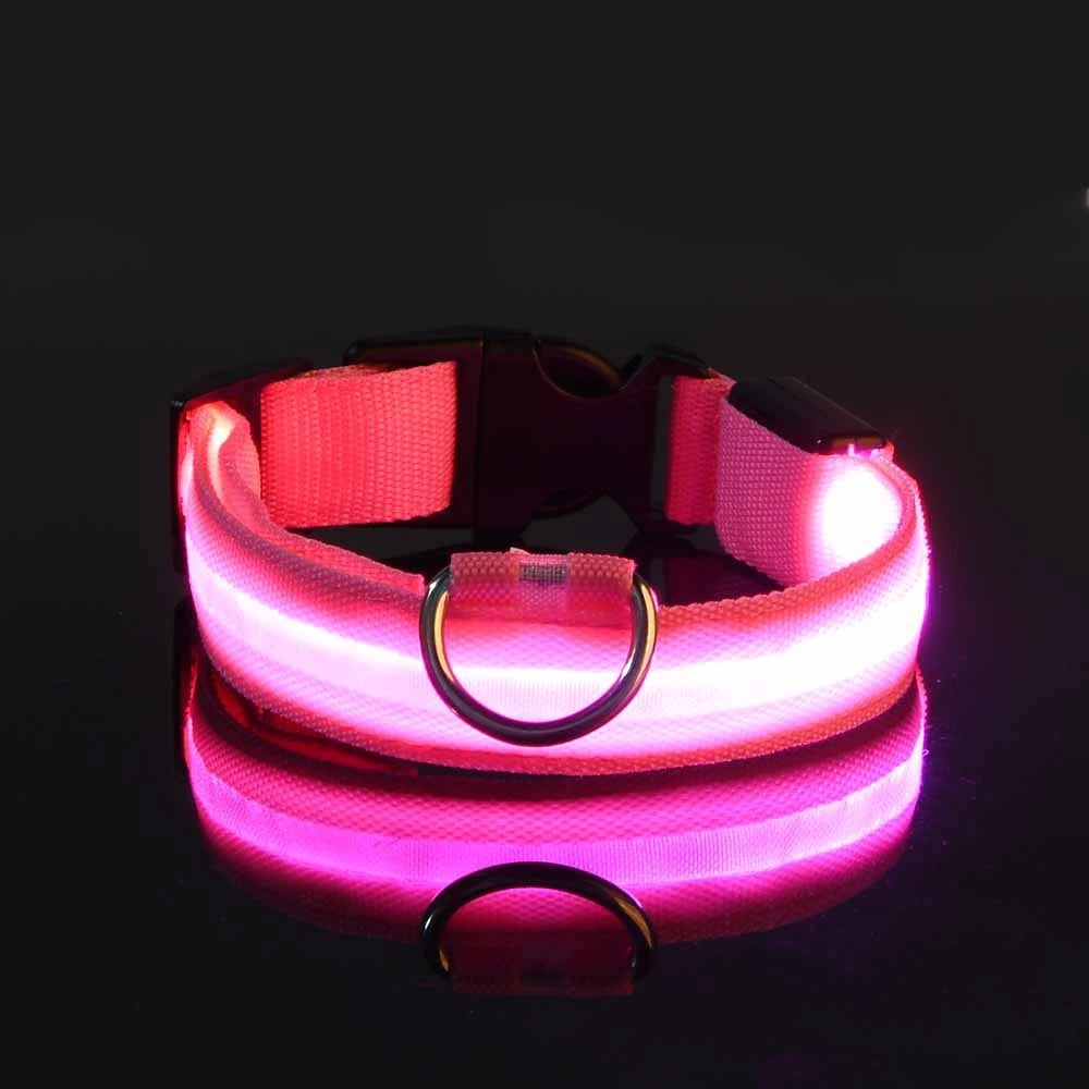 The Night Walk Set - LED Glowing Safety Collar & Leash for Dogs