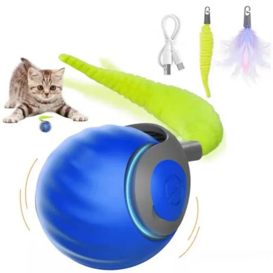 The Night Walk Set — LED Safety Collar & Leash