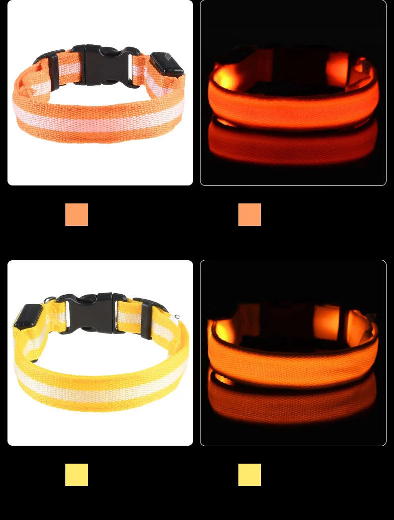 The Night Walk Set - LED Glowing Safety Collar & Leash for Dogs