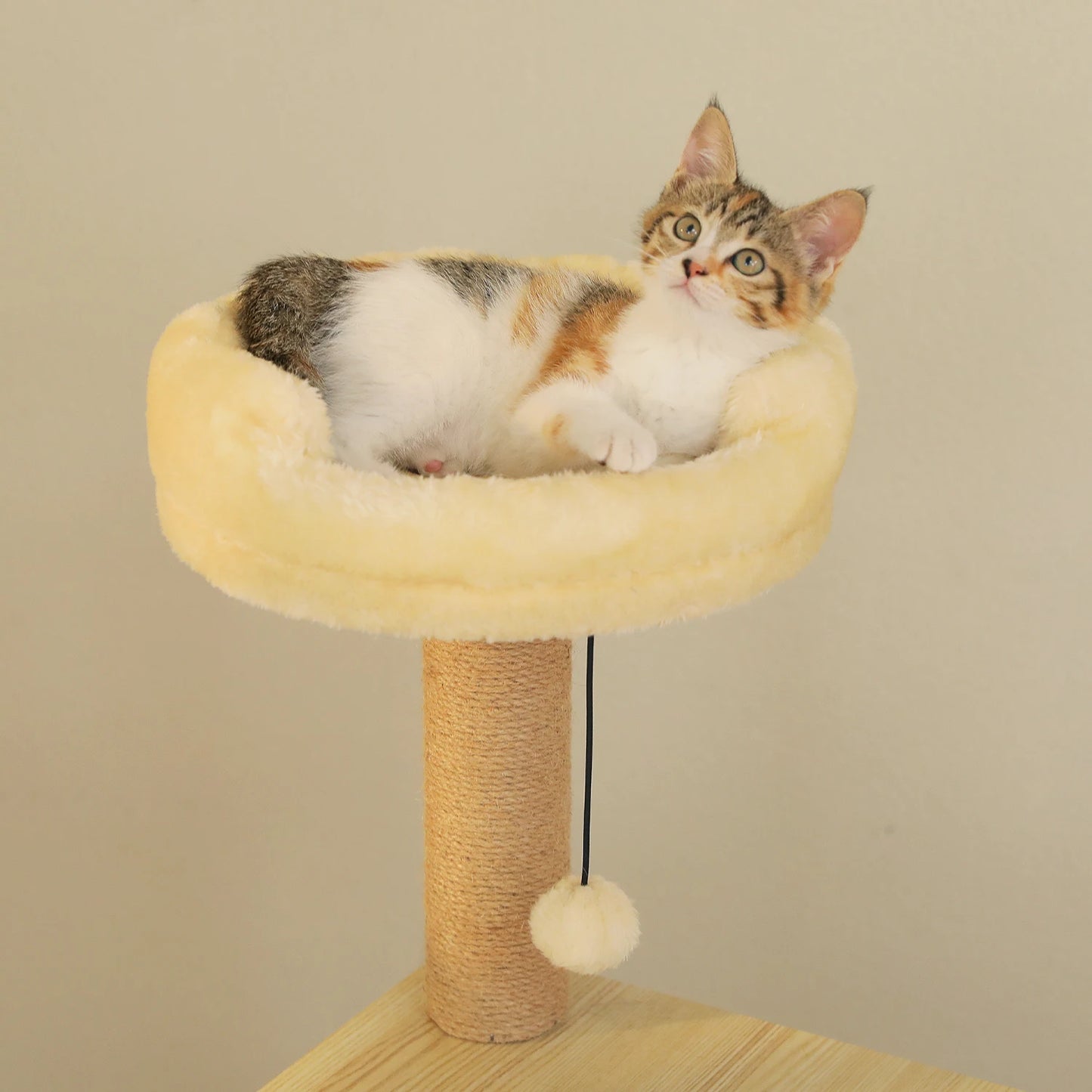 The Kingdom - Multi-Level Cat Tree Tower with Hammock, Condo & Scratching Posts