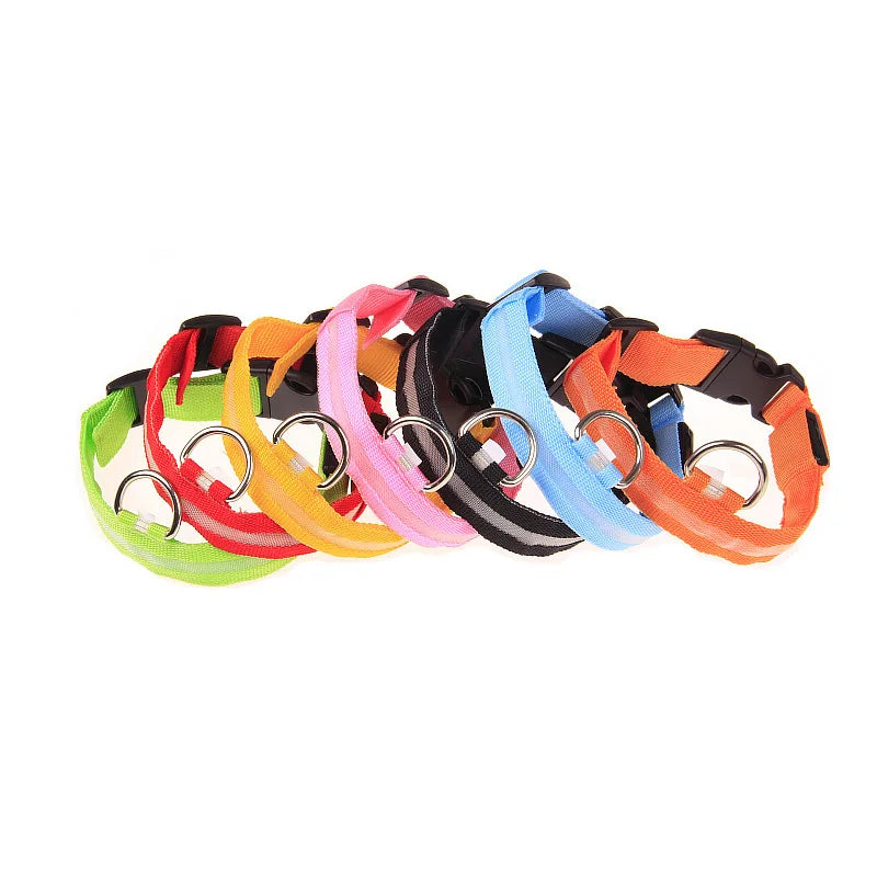 The Night Walk Set - LED Glowing Safety Collar & Leash for Dogs