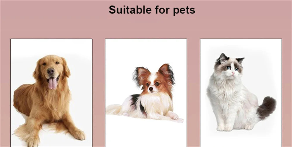 The SafeRide Belt — Adjustable Car Safety Belt for Pets