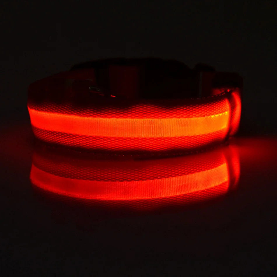 The Night Walk Set - LED Glowing Safety Collar & Leash for Dogs