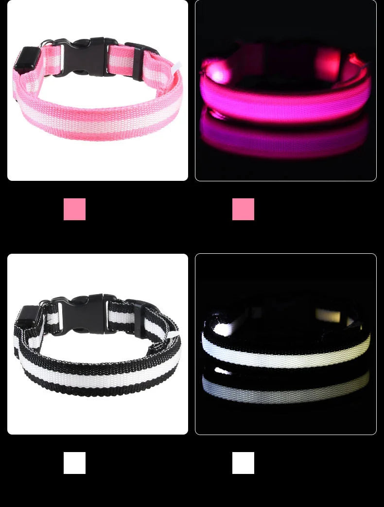 The Night Walk Set - LED Glowing Safety Collar & Leash for Dogs
