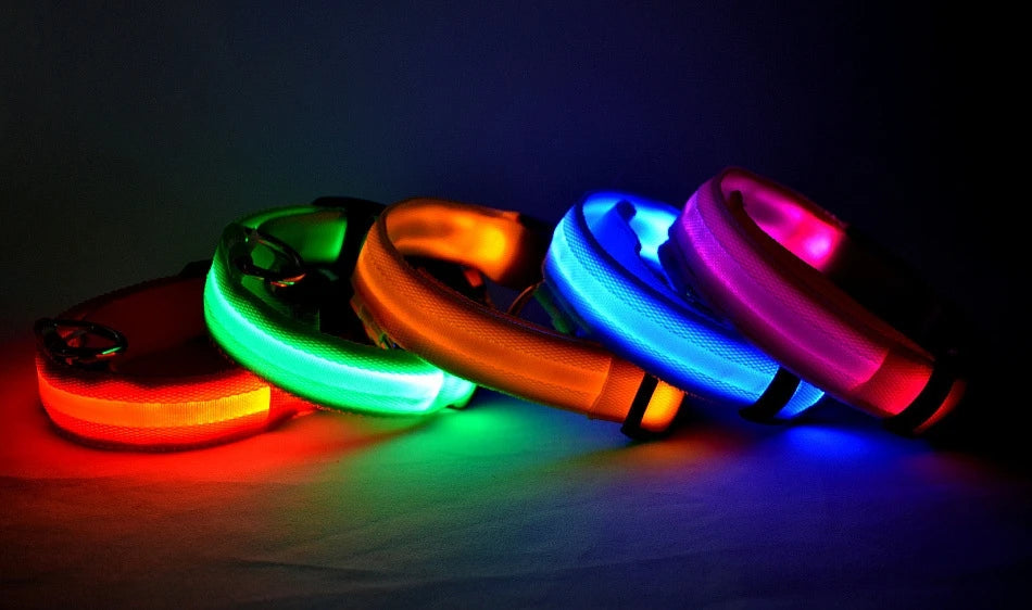 The Night Walk Set - LED Glowing Safety Collar & Leash for Dogs