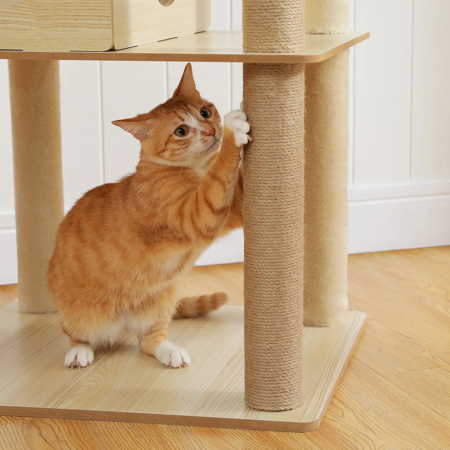The Kingdom - Multi-Level Cat Tree Tower with Hammock, Condo & Scratching Posts