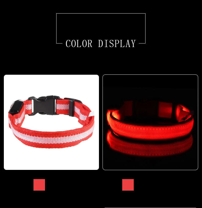 The Night Walk Set - LED Glowing Safety Collar & Leash for Dogs